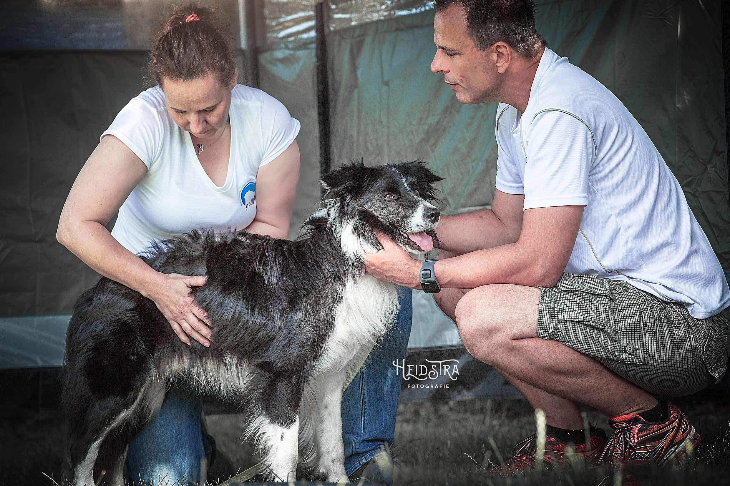 Eigenaar krijgt aanwijzingen om eigen hond te masseren