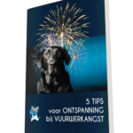 Vuurwerkangst bij honden