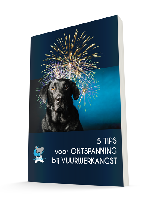 Vuurwerkangst bij honden