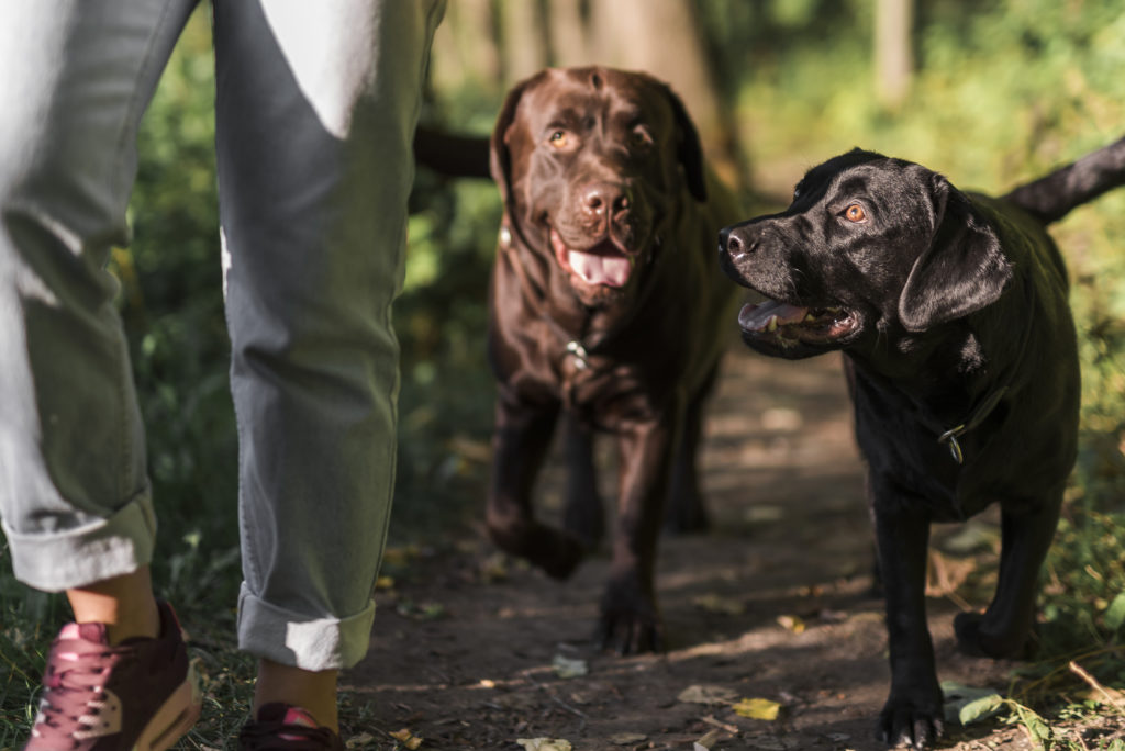 Samen met…