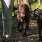 Samen met…