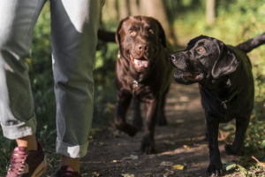 Samen met…