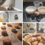 Hondenkoekjes