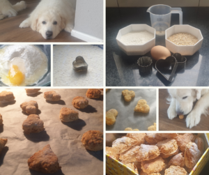 Hondenkoekjes