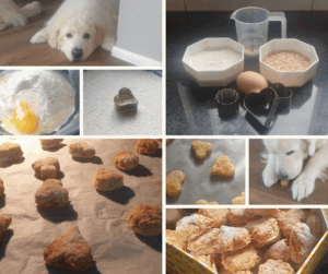 Foto's van het bereiden van hondenkoekjes. Samen koken met en voor je hond.