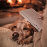 Stressdagboek voor honden - hulpmiddel om stress te herkennen