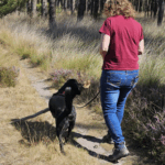 Nieuwsbrief November 2025