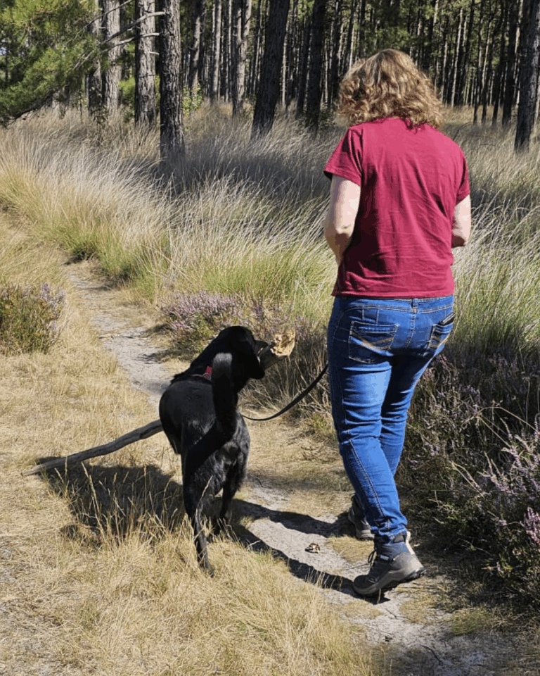 Zwarte hond met stok in de bek wandelt met eigenaar over een bospaadje – voorbeeld van ontspannende natuurwandeling voor stressreductie bij honden