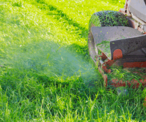 grasmaaier verspreid poep