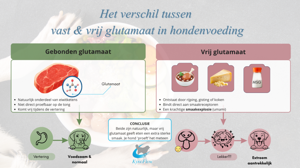 Verschil tussen gebonden en vrij glutamaat in voeding